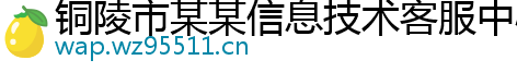 铜陵市某某信息技术客服中心